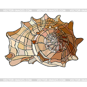 Spiral shell - vector clipart