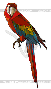 Colorful tropical parrot - royalty-free vector image