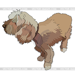 Shaggy dog - vector clip art