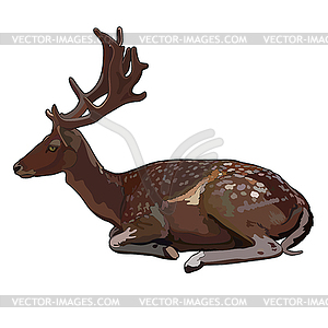 Lying deer - vector clipart / vector image