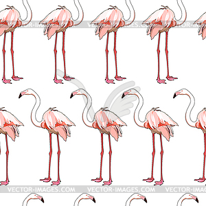 Seamless background with flamingos - vector clipart