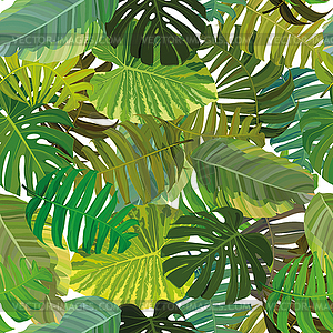 Seamless background with tropical leaves - vector image
