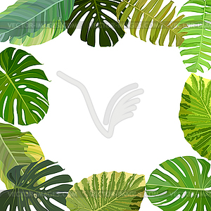 Tropical leaf frame - vector image