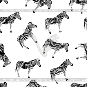 Seamless background with zebras - vector clipart