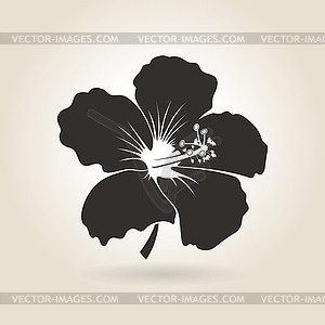 Значок Цветок гибискуса - векторное изображение клипарта