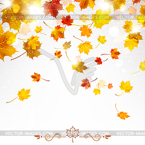 Осенние опадающие кленовые листья - клипарт в векторном виде
