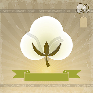 Banner Cotton Flower - vector image