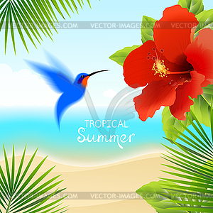 Tropical Background with Hummingbird - vector image