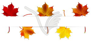 Autumn Banner with Maple Leaves - vector image