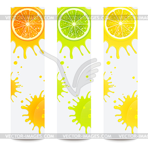 Баннеры с сочными цитрусовыми фруктами - векторный эскиз