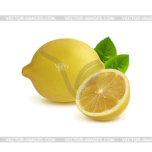 Whole Lemon and Half Lemon - vector image