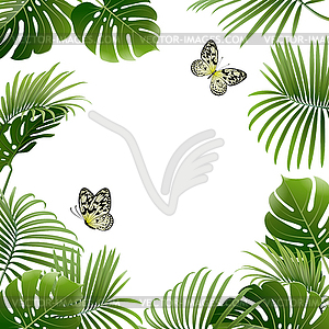 Banner of Tropical Plants and Butterflies - vector clipart