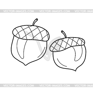 Two acorns in cartoon style, coloring page , game - vector clip art