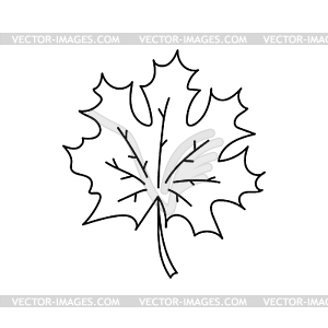 Forest maple leaf . . Black and white - vector image