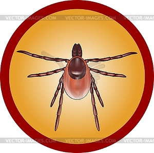 Tick - vector image