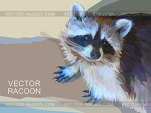 Racoon polygonal . eps 10 - vector image