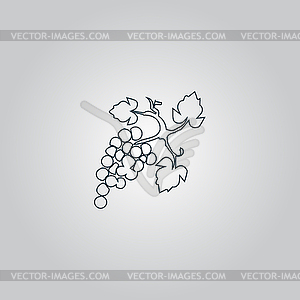 Bunch of grapes icon - vector image