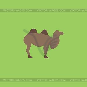 Camel flat icon - vector image