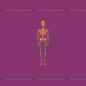 Skeletons - human bones - vector clipart