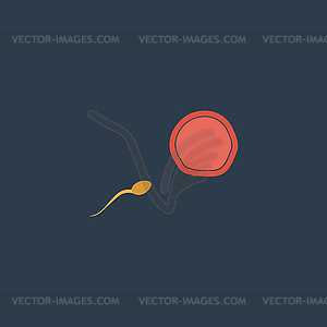 Flat Icon of egg and spermatozoon - vector clip art