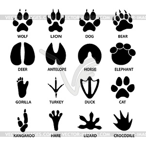 Black footprints shapes of animals. Elephant, - vector clipart / vector image