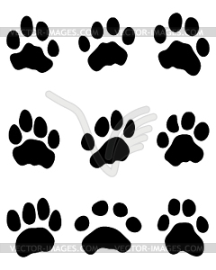 Tiger paw - vector image