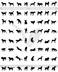 Silhouettes of dogs - vector clipart