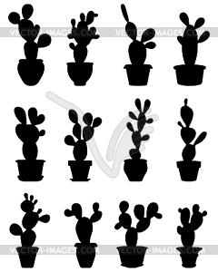 Cactus at potted - vector clipart