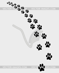 Trail of cat - vector clipart