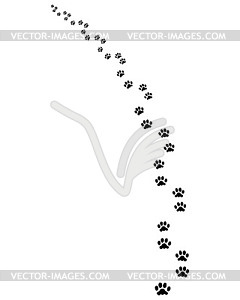 Trail of dog - vector image