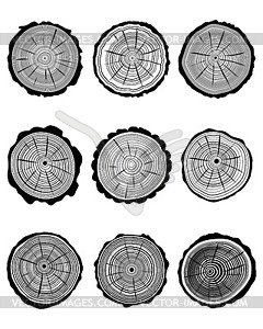 Cross section of trunks - vector clipart
