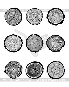 Cross section of trunks  - vector clipart