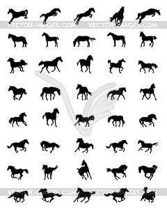 Black silhouettes of horses - vector image