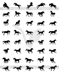 Black silhouettes of horses - vector clip art