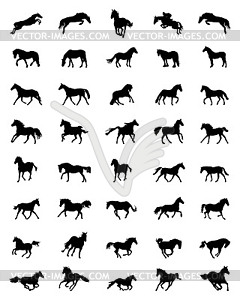 Black silhouettes of horses - vector clipart