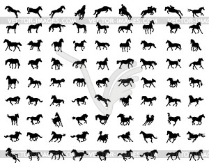 Big set of horses silhouettes - vector clipart