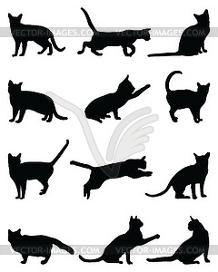 Black silhouettes of cats  - vector clip art