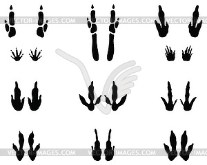 Black traces of kangaroo paws - vector image