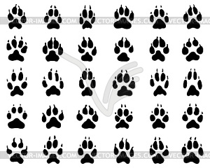 Print of dogs paws - vector image