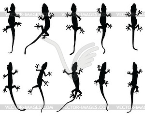 Black silhouettes of lizards - vector clip art