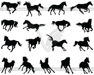 Black silhouettes of horses  - vector image