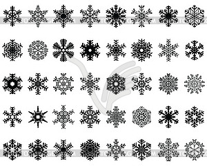 Set of different black snowflakes  - vector image