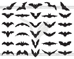 Black silhouettes of bats - vector clipart