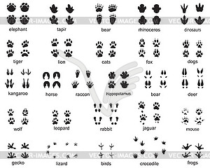 Множество следов диких животных - клипарт в векторе / векторное изображение