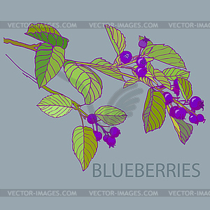 Card - vector image