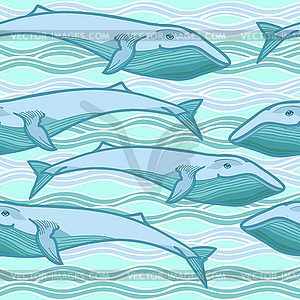 Whale - vector clip art