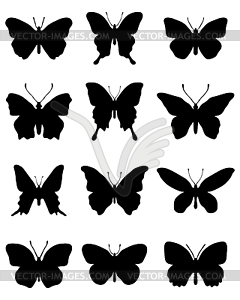 Silhouettes of butterflies - vector image