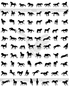 Силуэты лошадей - векторная иллюстрация