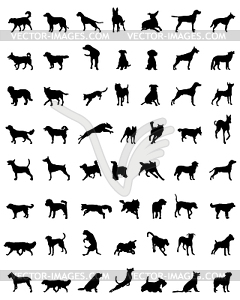 Silhouettes of dogs - vector clip art