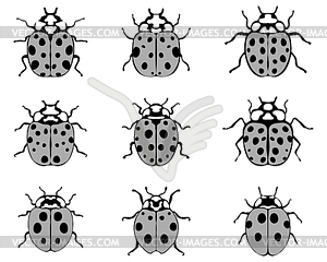 Cheerful ladybugs - vector image